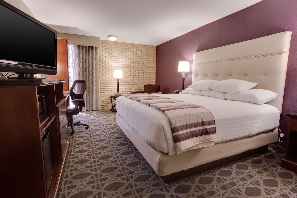 Drury Plaza Hotel San Antonio Airport 14/50