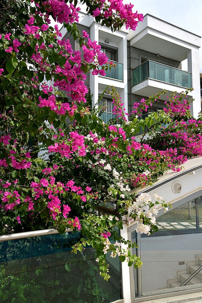 Royal Palm Residence 23/36