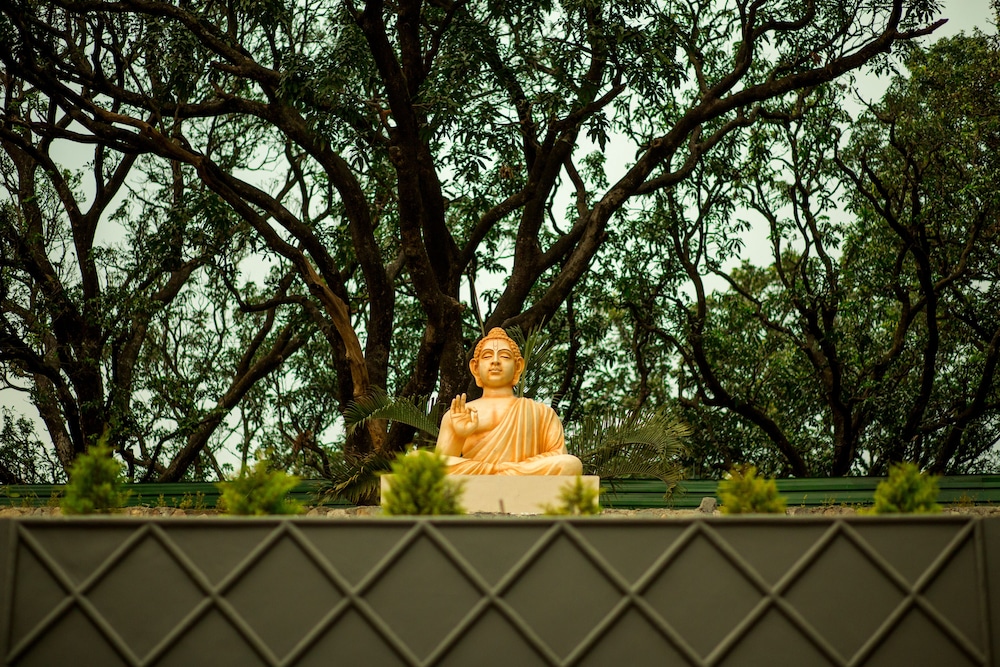 Sterling Palm Bliss Wellness Resort, Rishikesh 60/62