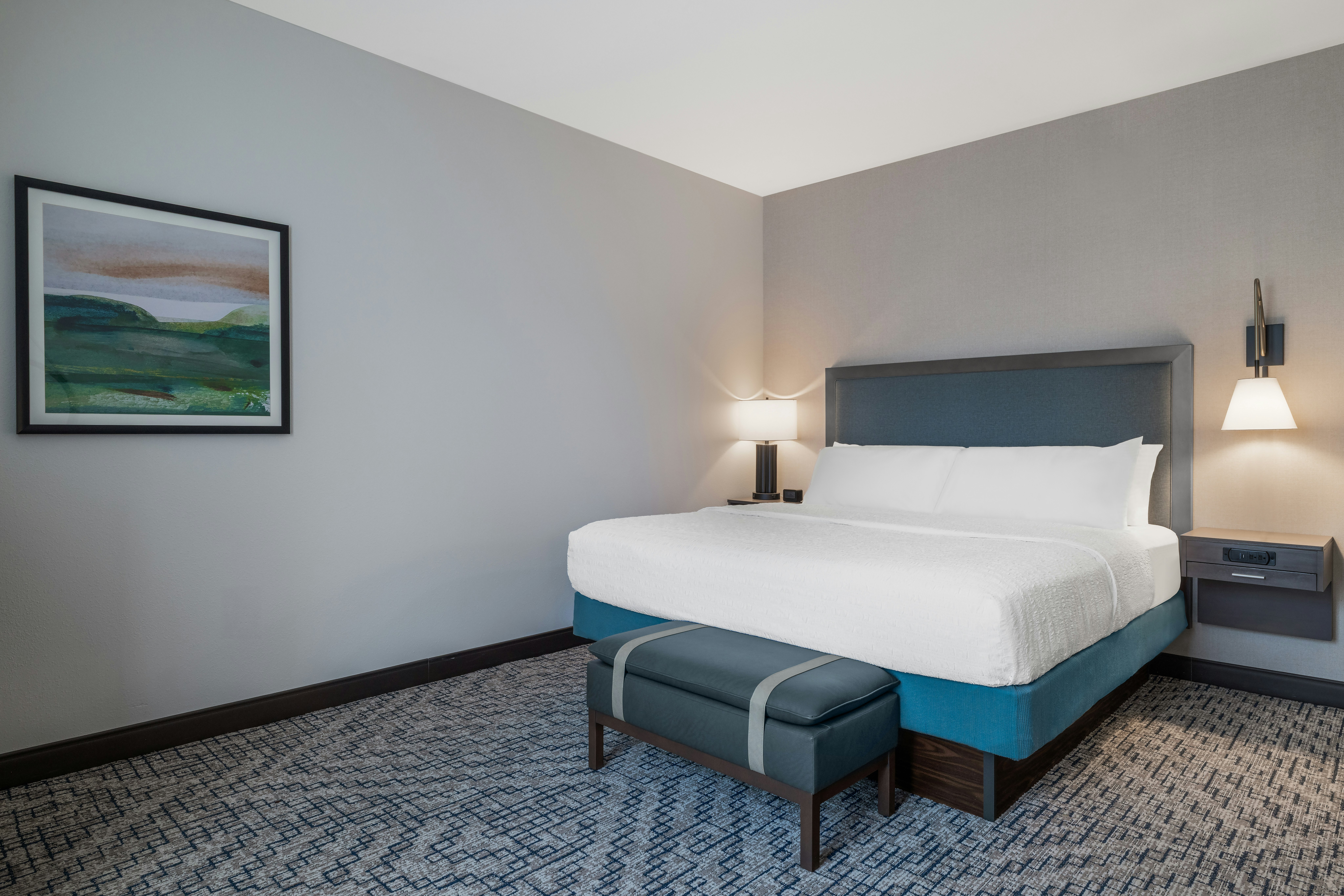 غرفة بسرير كينج لذوي الإعاقة، Hampton Inn And Suites Roanoke-Downtown 3/7