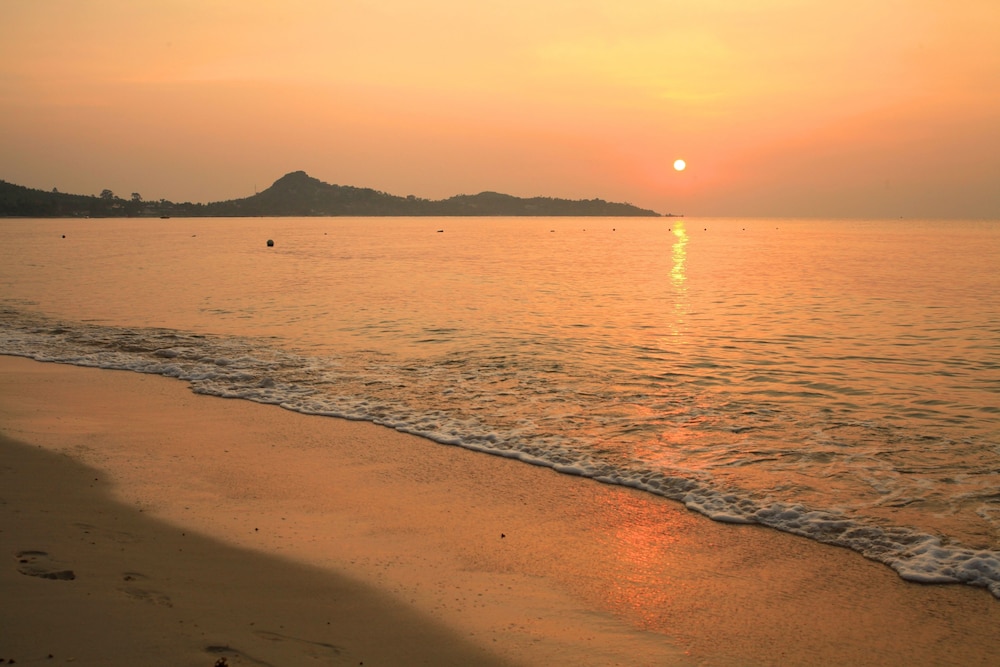 The Hive Hotel Samui 61/71