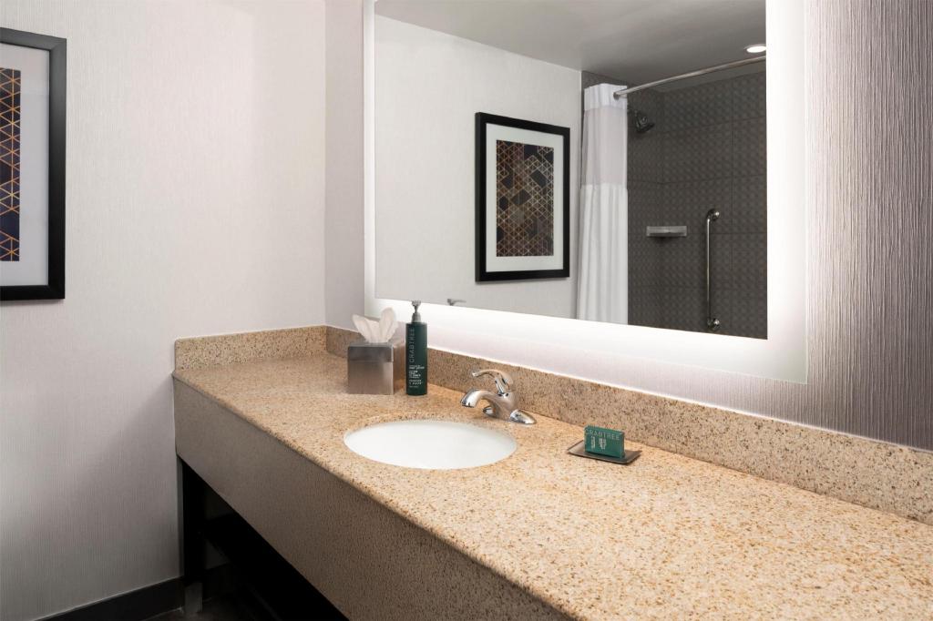 PRESIDENTIAL, SUITE, KING BED, SOFA, JETTED TUB