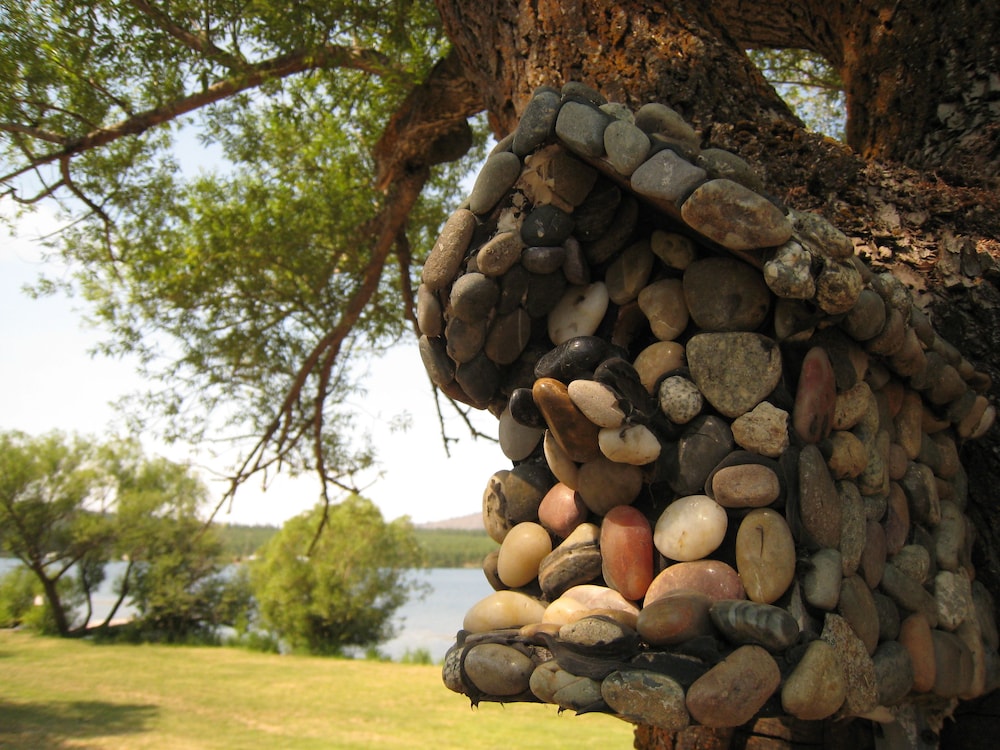 Willow Bay RV Resort & Marina 4/21