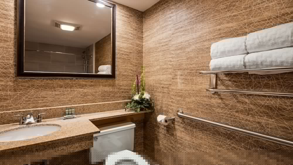 Best Western Detroit Livonia 19/42