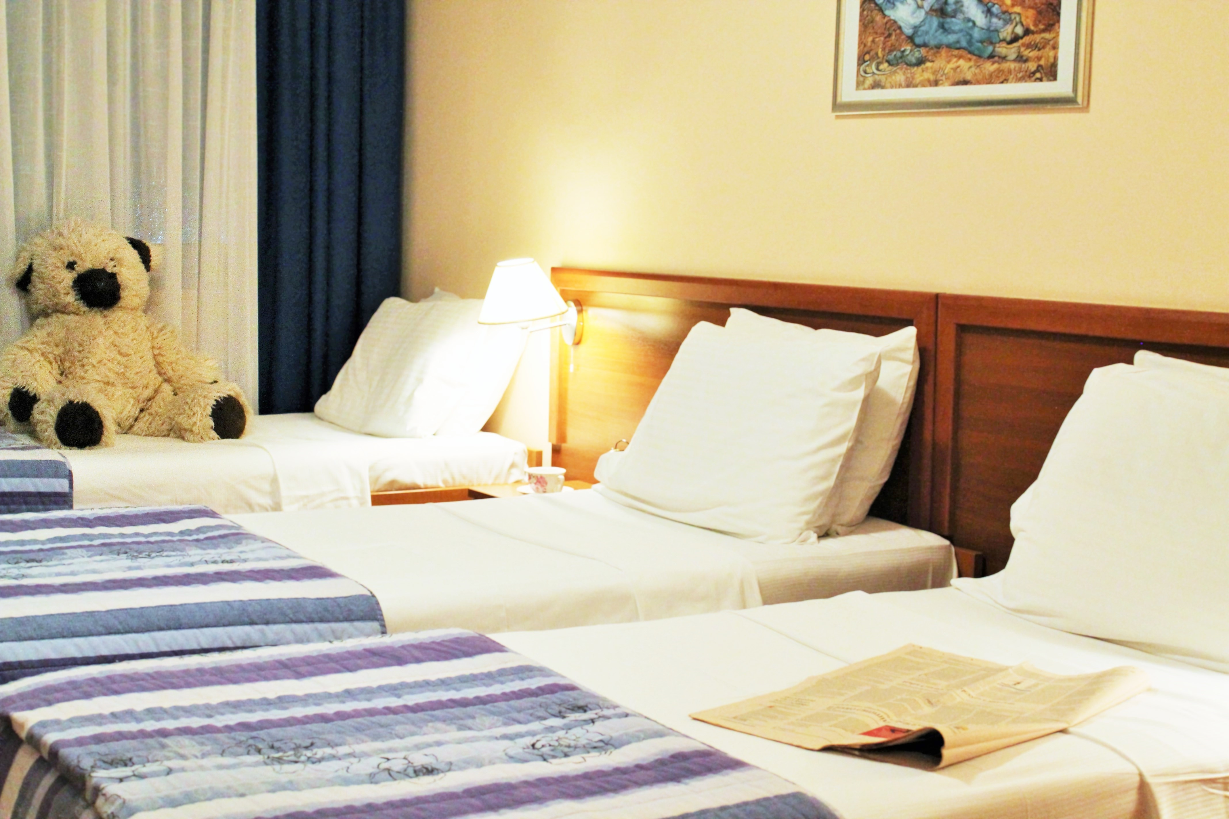 Room, Triple