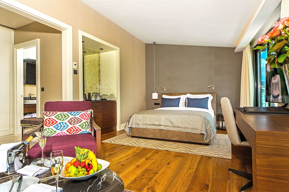 Arts Hotel Istanbul 22/73