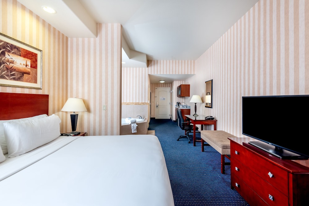 Holiday Inn Express & Suites Lathrop 17/61