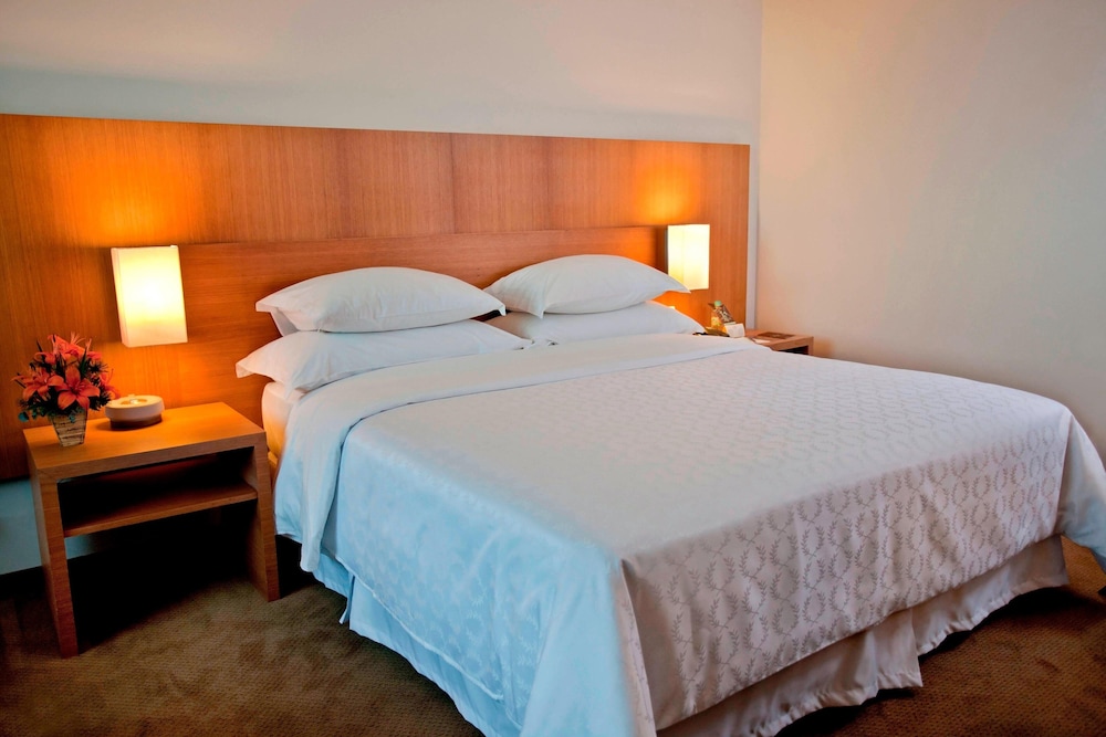 Sheraton Vitoria Hotel 11/43
