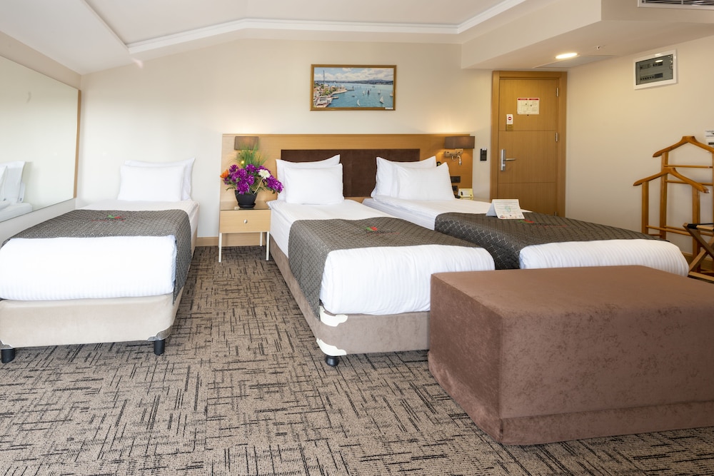 Hotel Boursier 1 & Spa 34/57