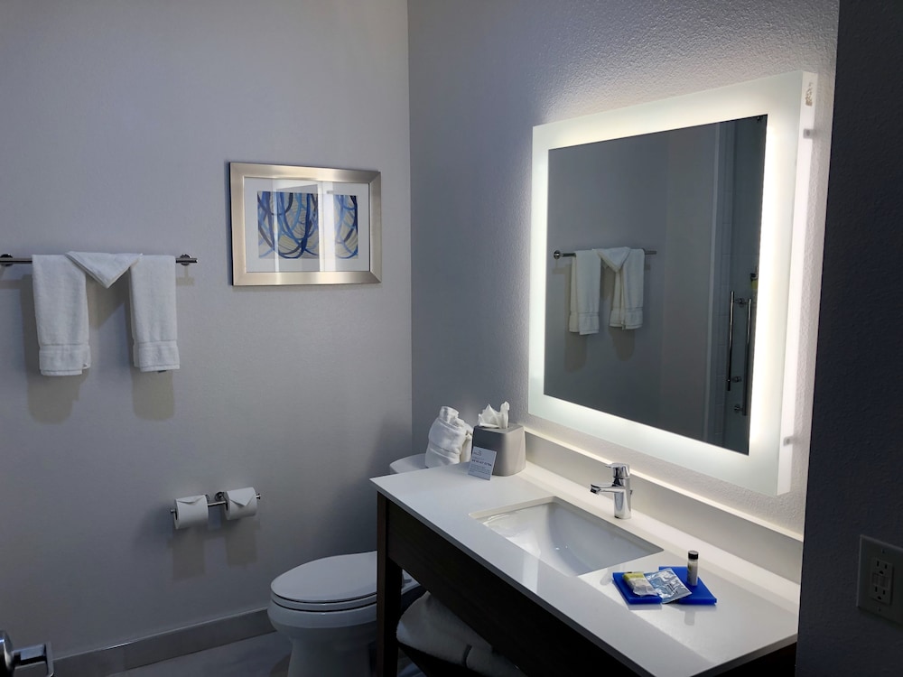 Holiday Inn Express and Suites Houston Westchase - Westheimer 30/59