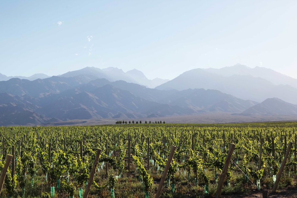 Casa de Uco Vineyards Wine Hotel 58/74