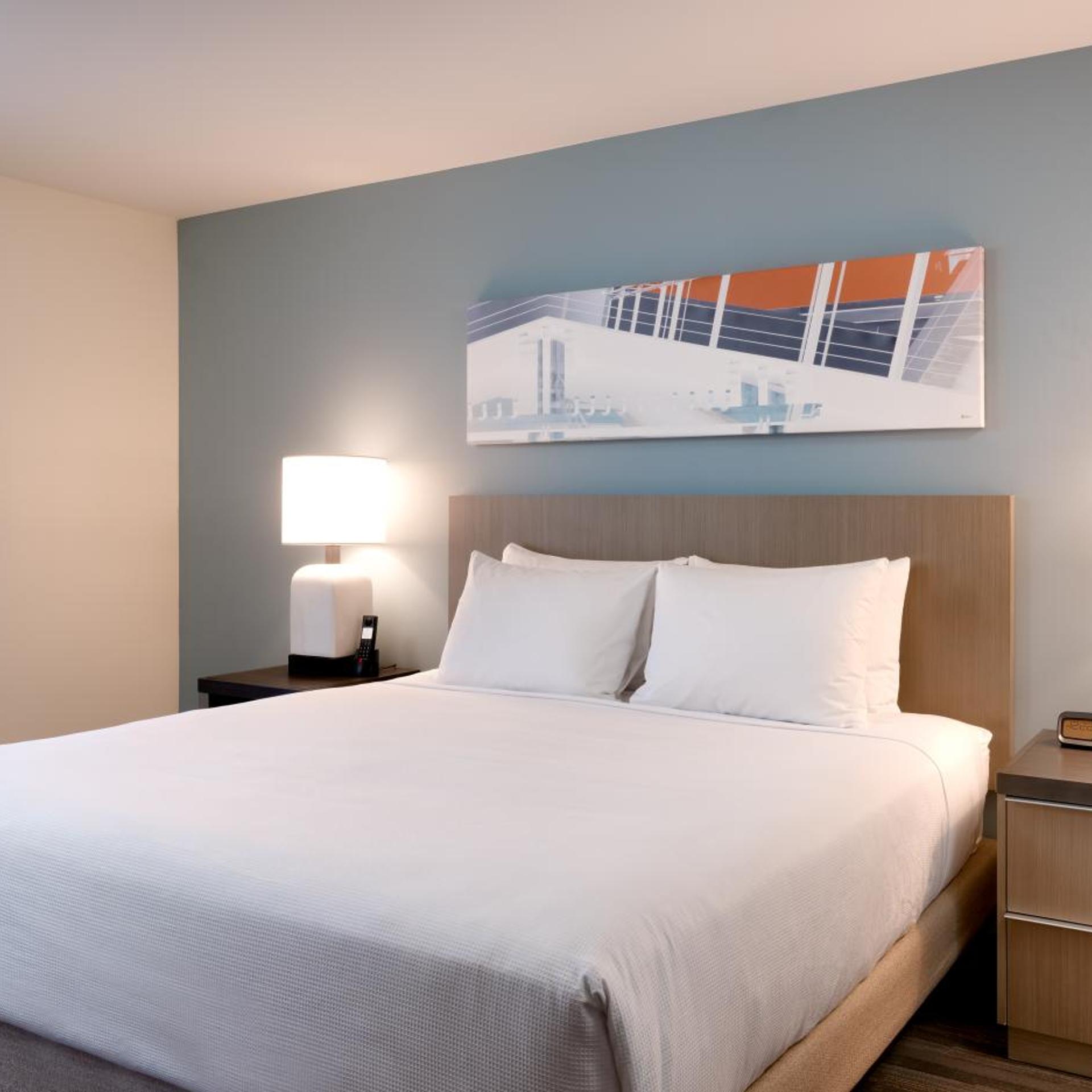 1 Bedroom, Specialty, Suite, King Bed, Kitchen