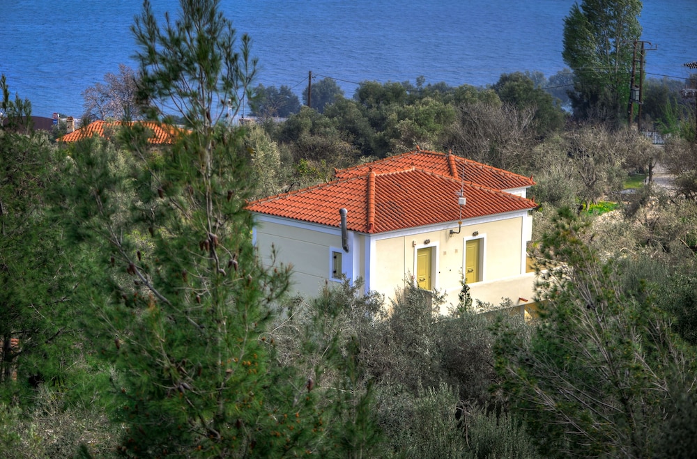 Gera's Olive Grove 2/50