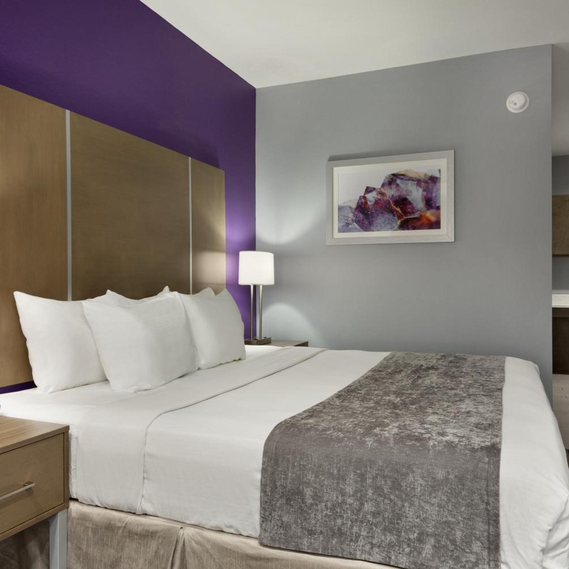 SUITE, KING BED