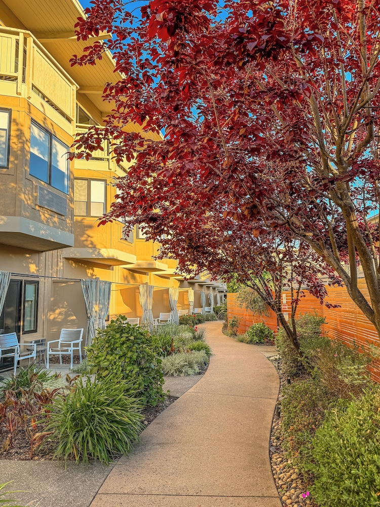 The Lodge At Tiburon 57/66