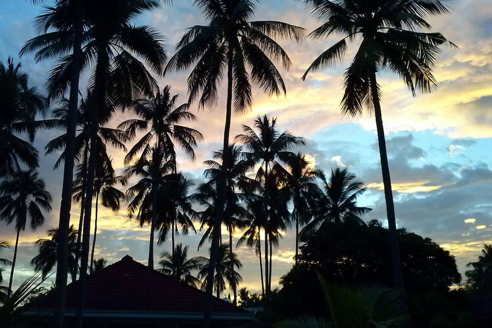 Whispering Palms Island Resort 29/40