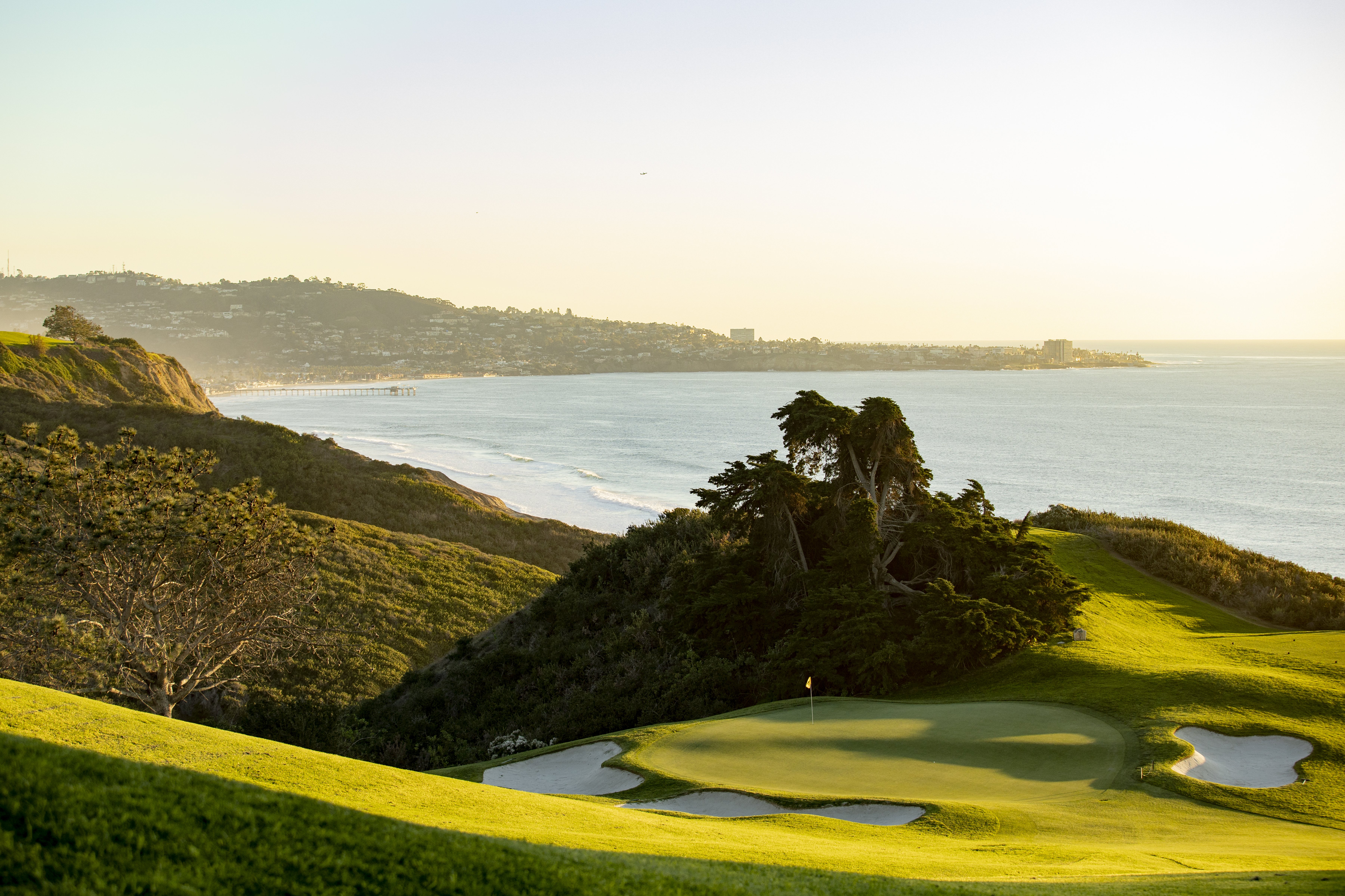 Lodge At Torrey Pines 77/80
