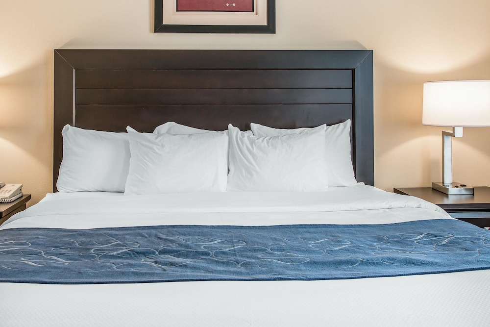 Comfort Suites South Bend Near Casino 22/33