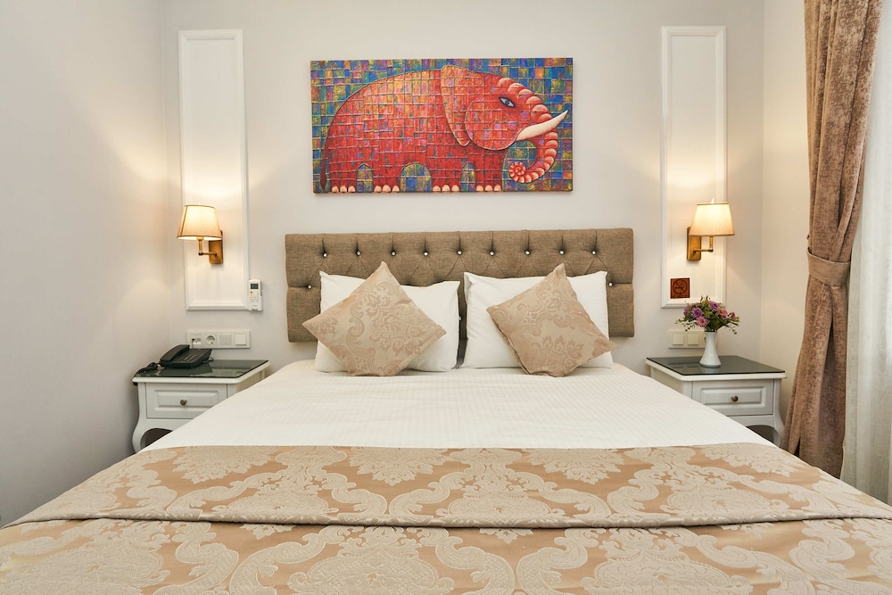 Hotel Beyazit Palace 8/64