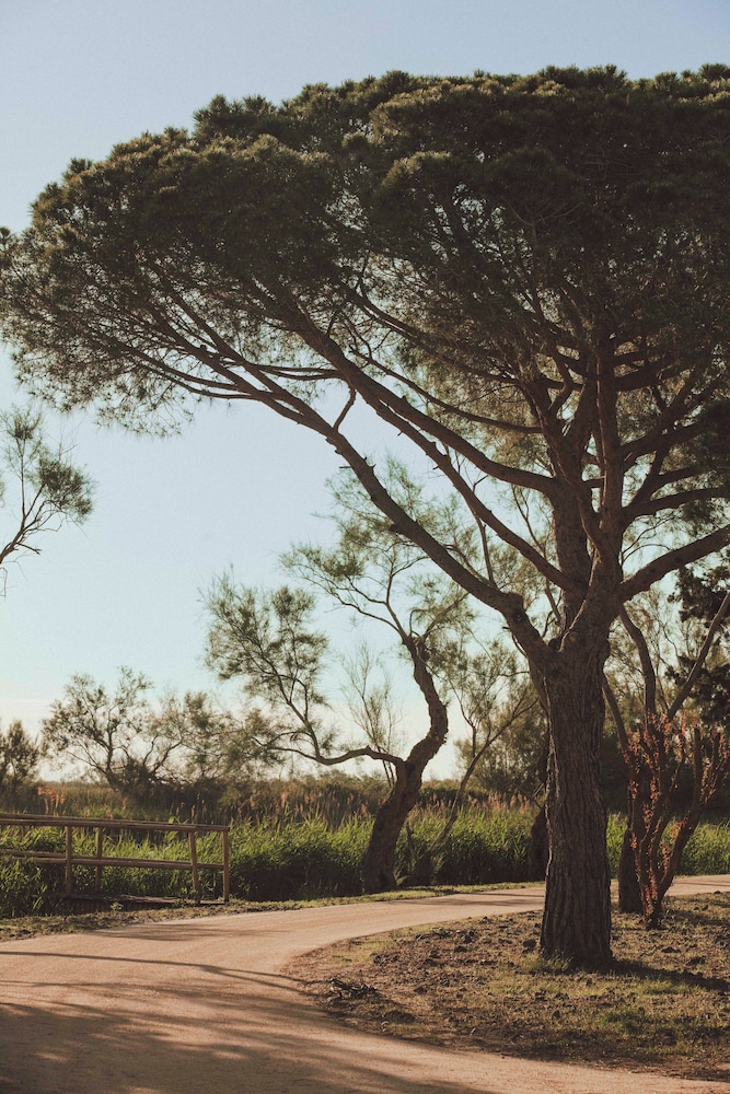 surroundings