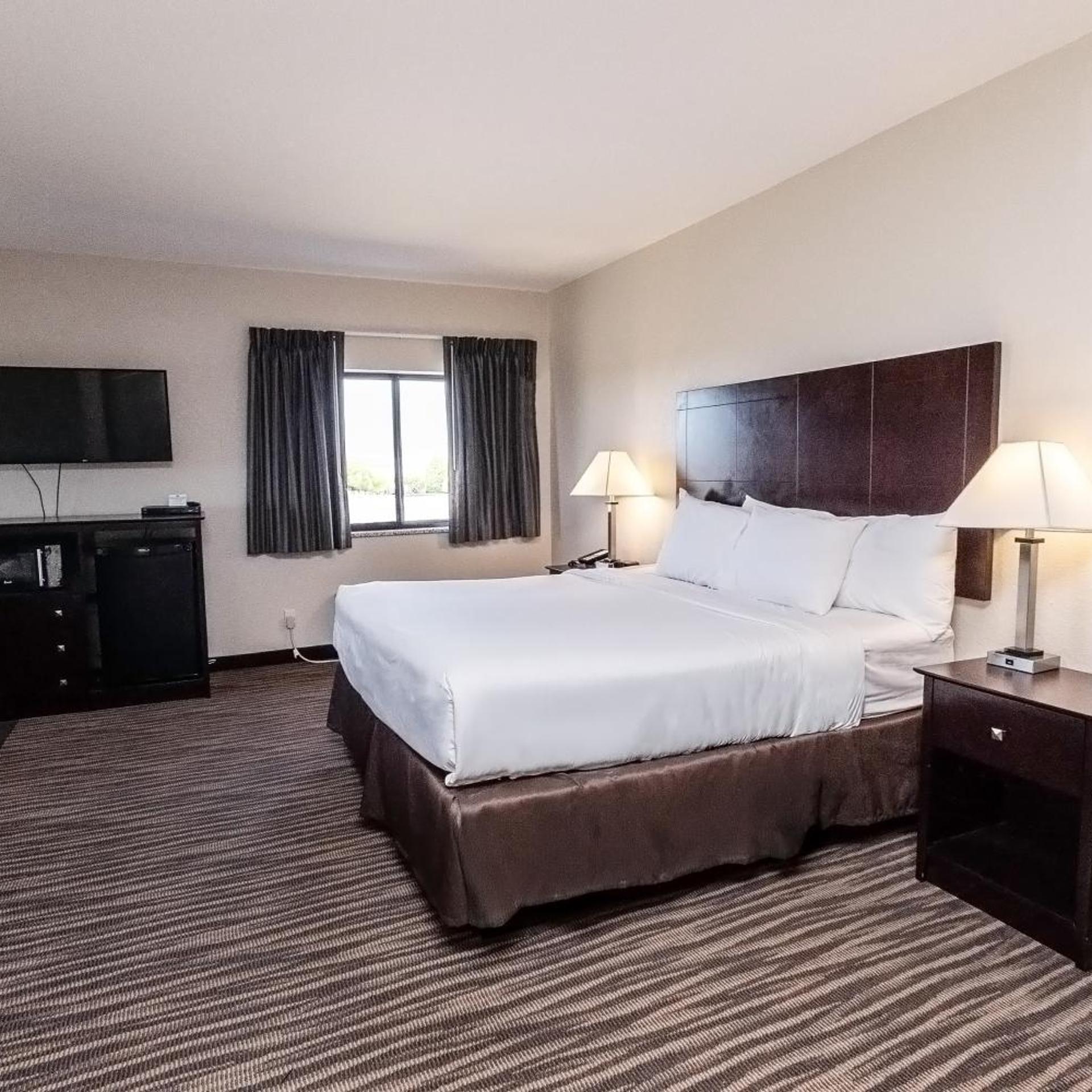 Suite, King Bed