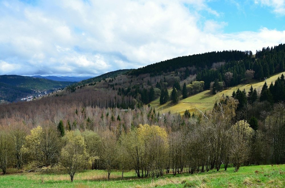 Pytloun Wellness Hotel Hasistejn 53/58
