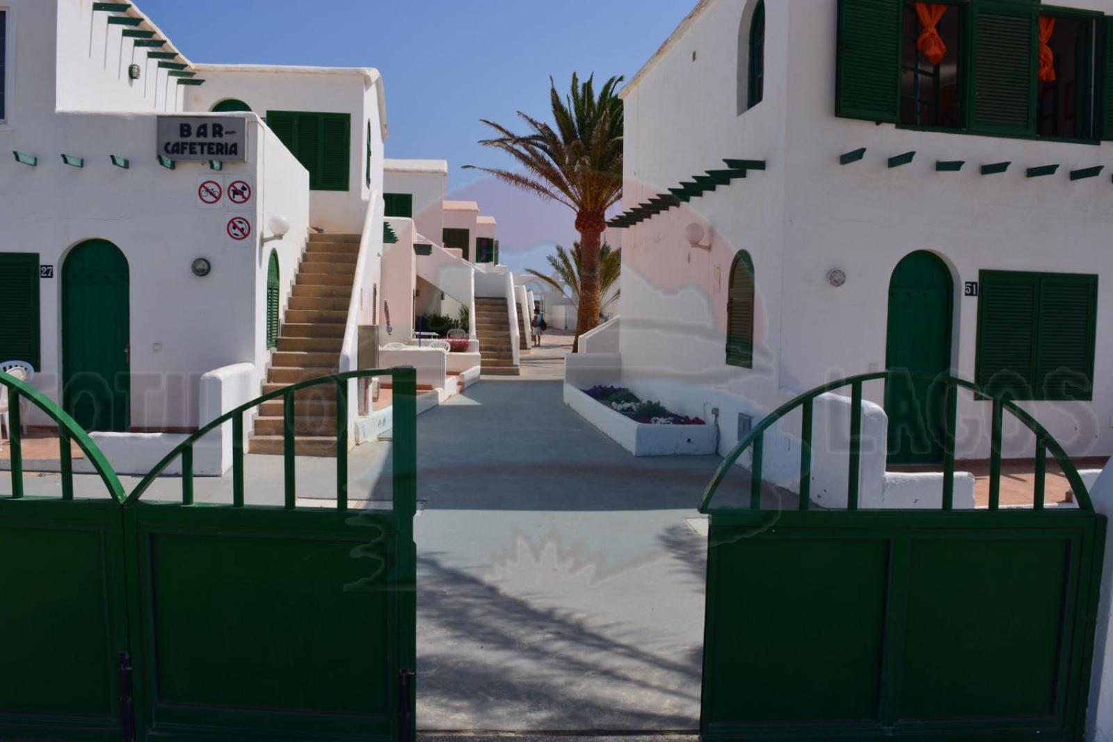Cotillo Lagos 41/50