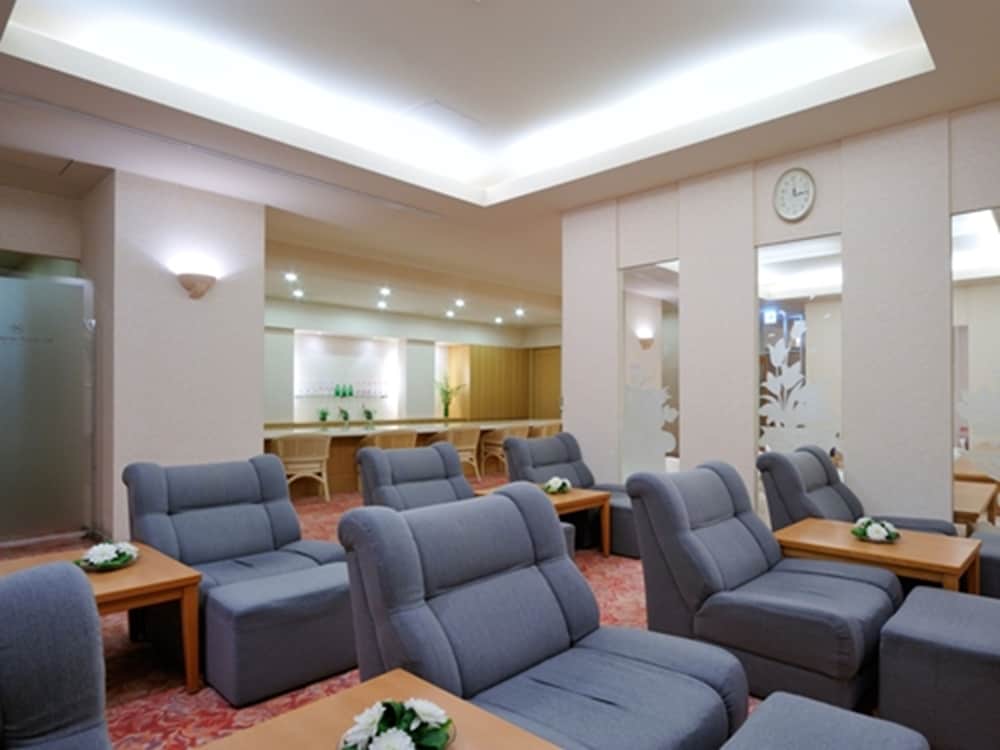 Hotel Emisia Sapporo 42/65