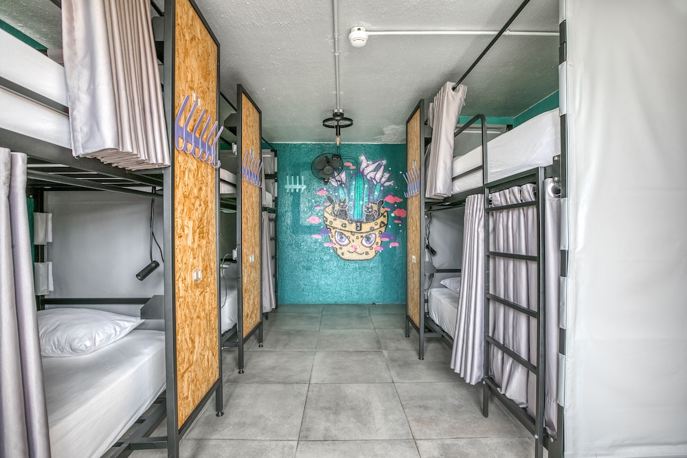 MIXED DORM, 6 BEDS