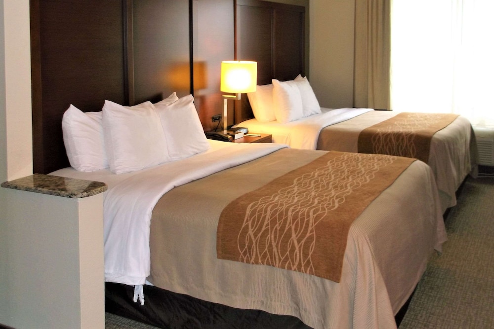 Comfort Inn and Suites Seguin, TX 14/37