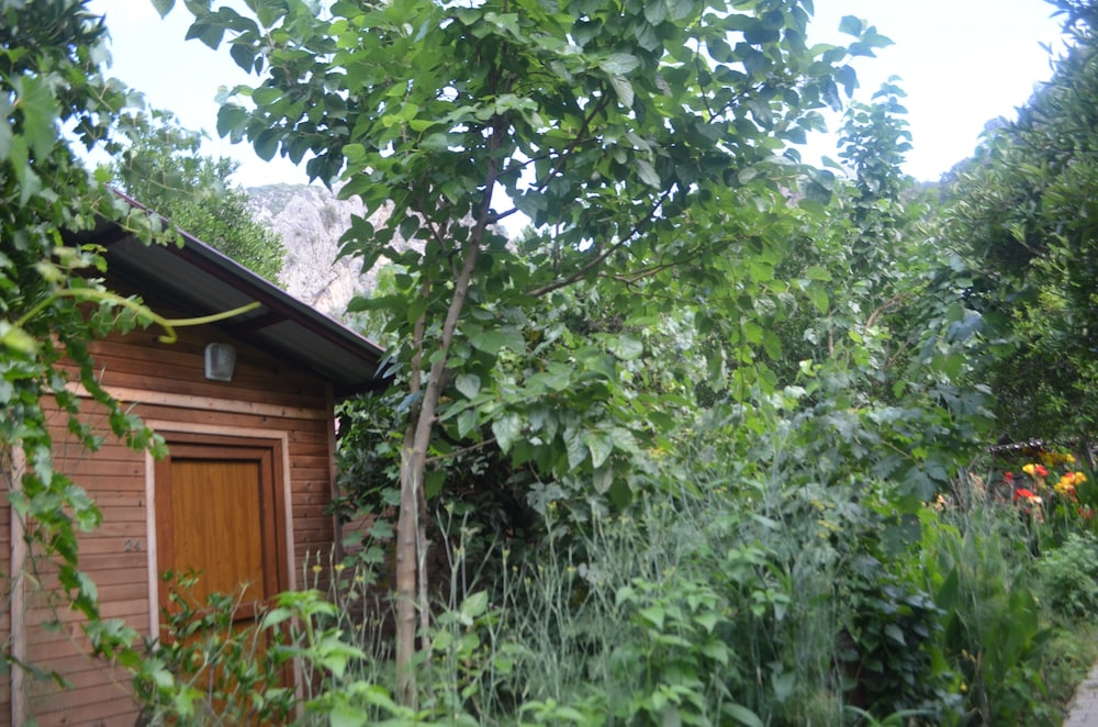 Olympos Mercan Pansiyon 4/50