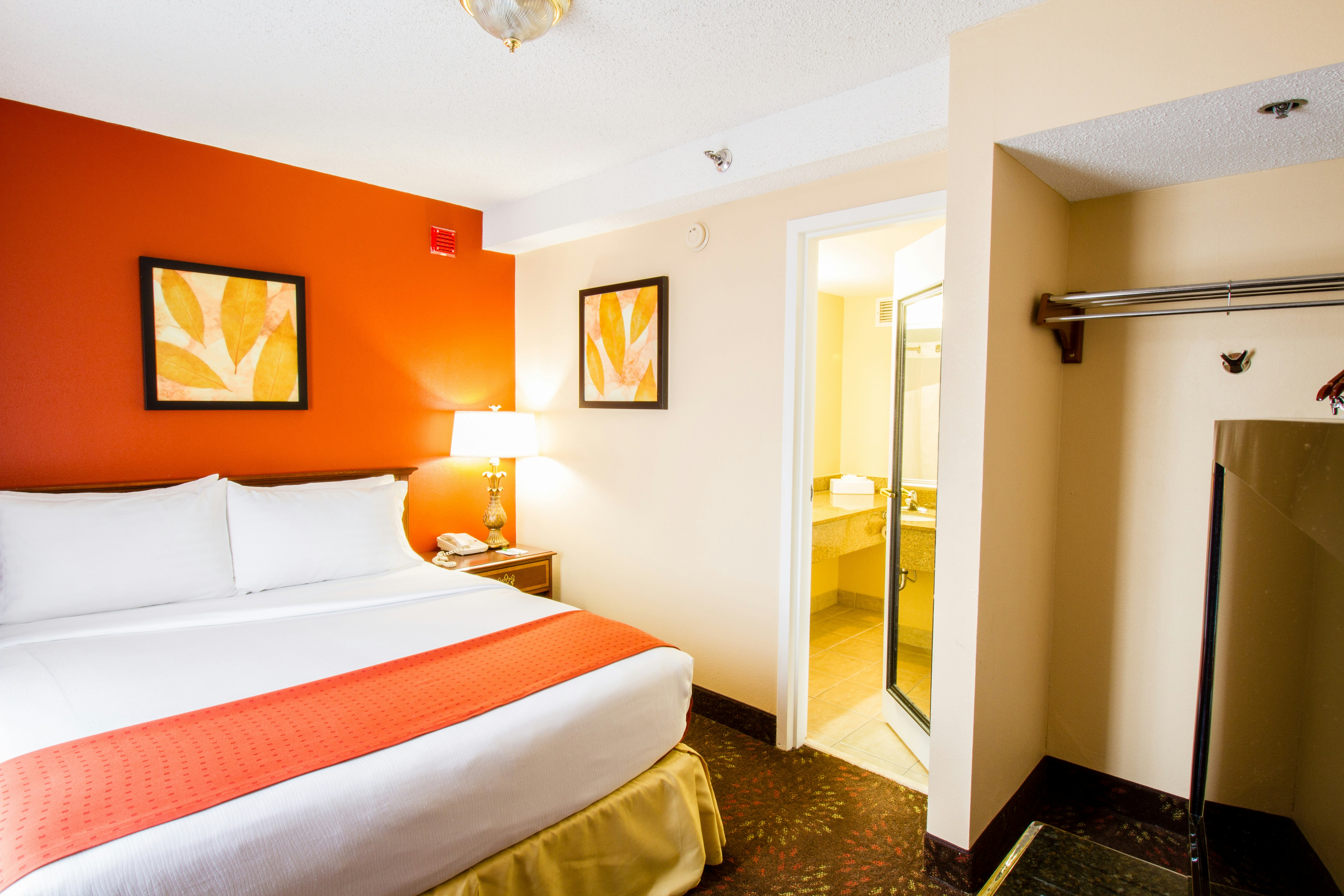 Holiday Inn Chicago O'Hare 19/71