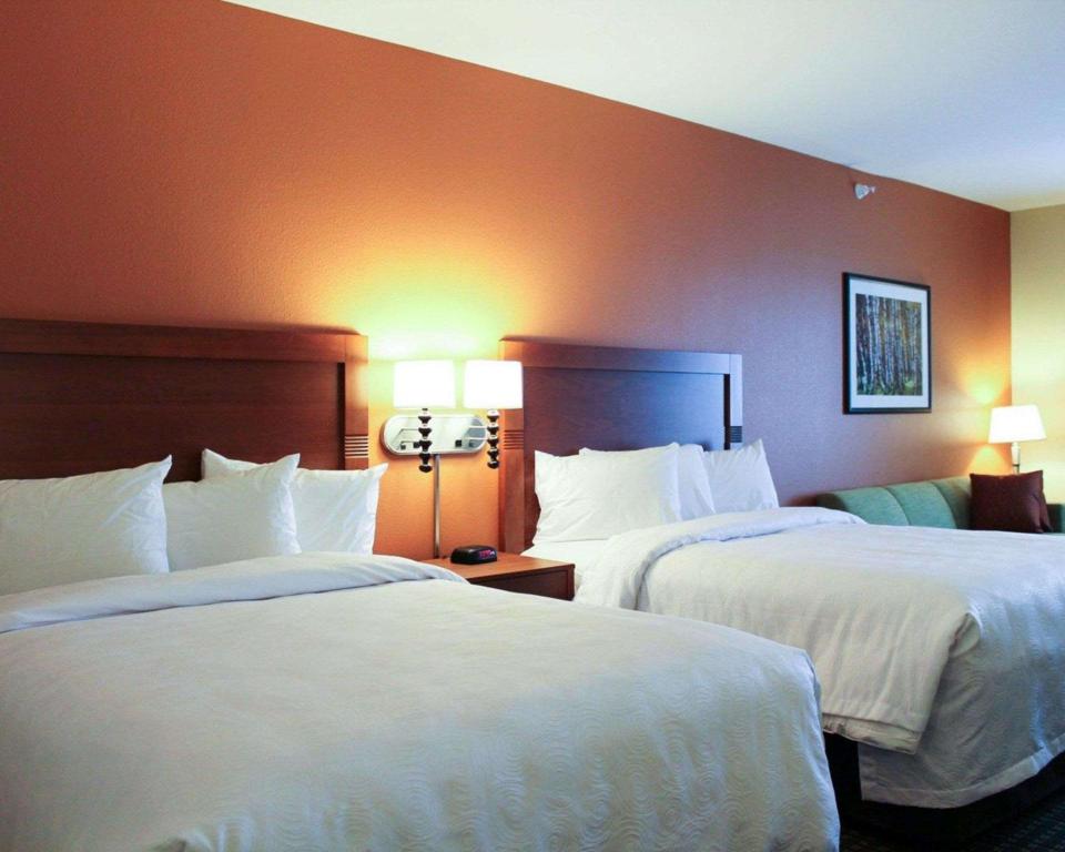 Efficiency, Suite, 1 King and 2 Queen Beds