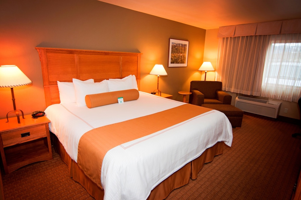 Best Western Plus Grantree Inn 19/52