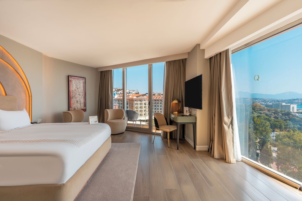 Qlusive Hotel 11/50