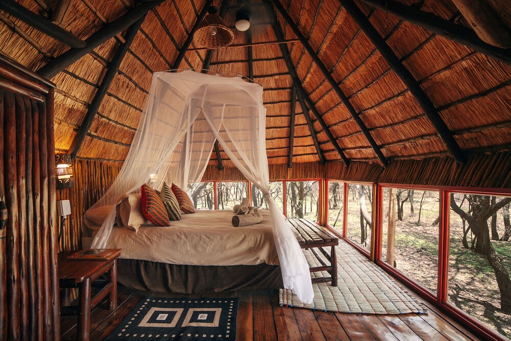 Pezulu Tree House Lodge 18/50