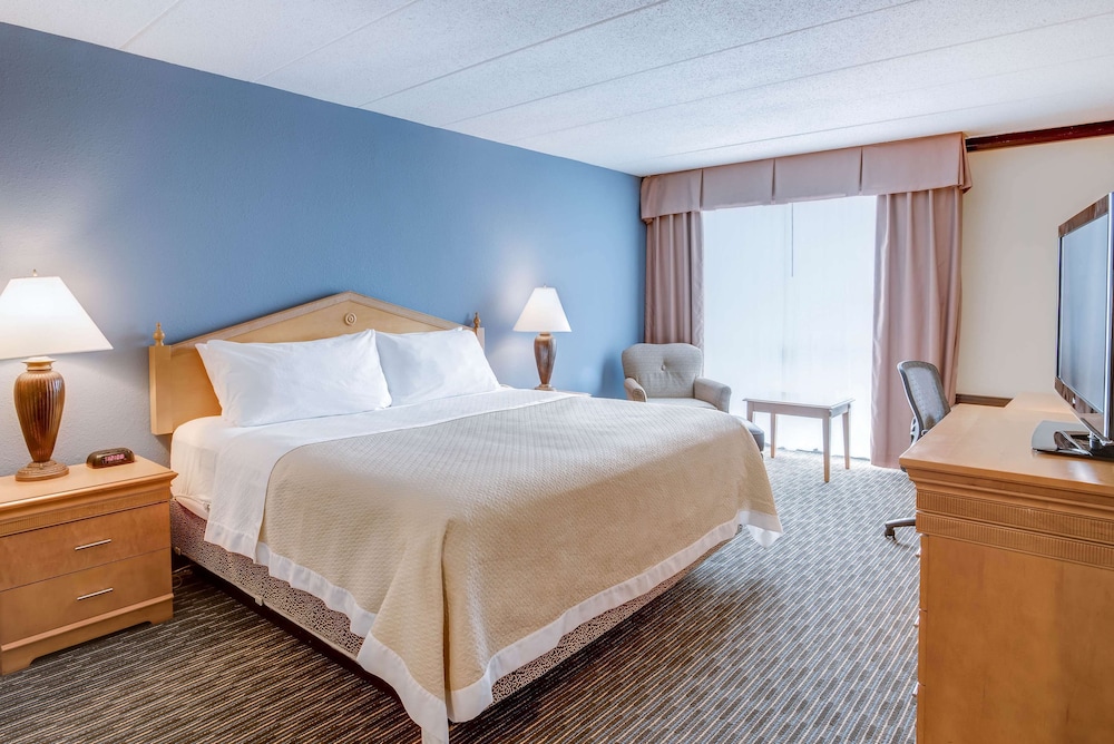 Room, King Bed