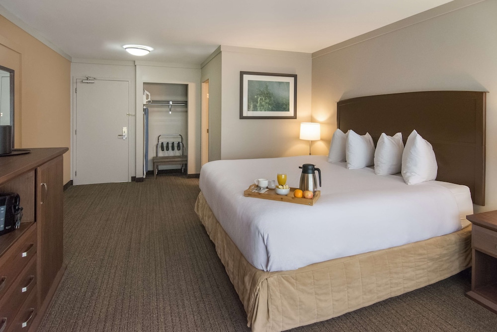 Best Western The Westerly Hotel 14/44