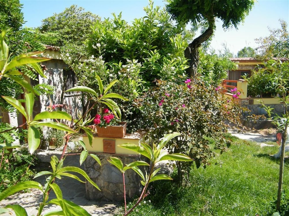 surroundings