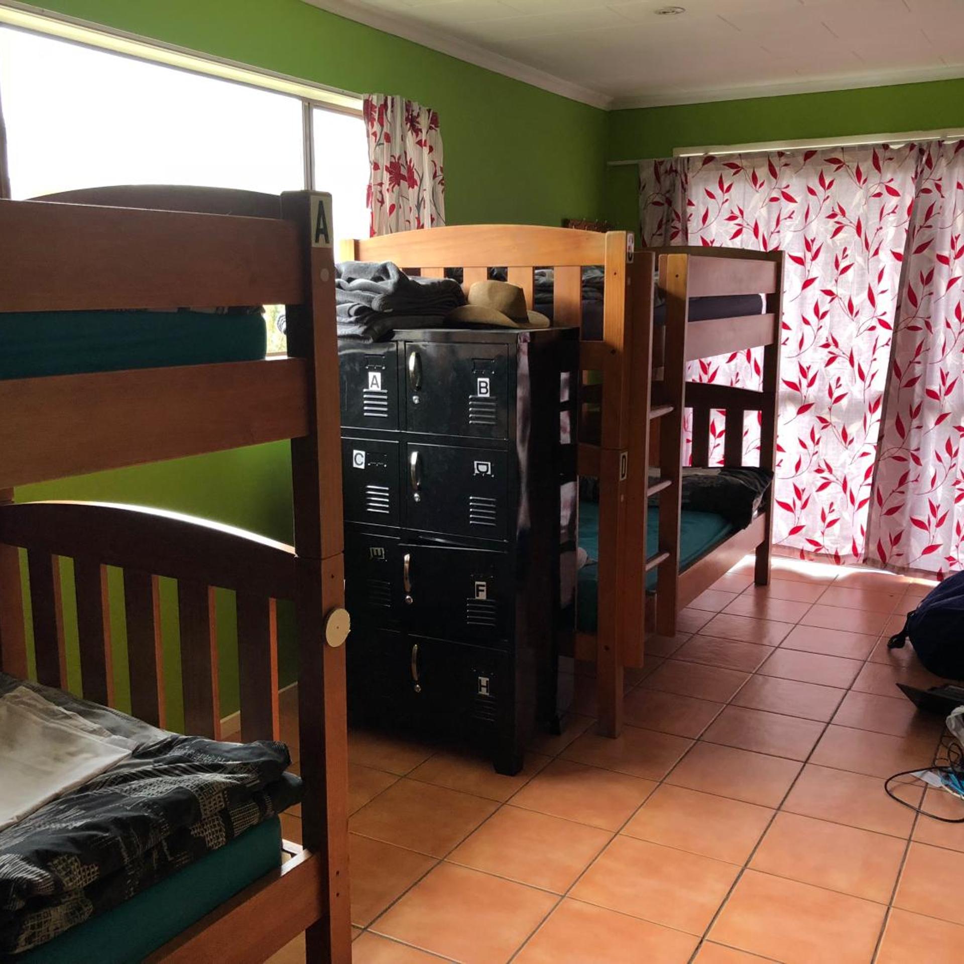 The Bug Backpackers Hostel 5/50