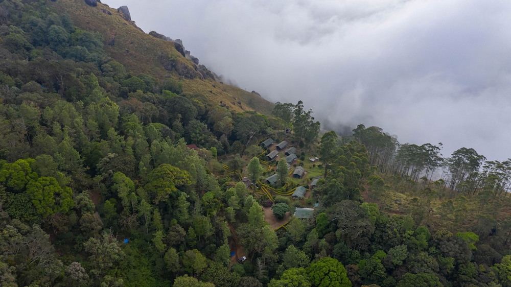 Nature Zone Resort 34/42