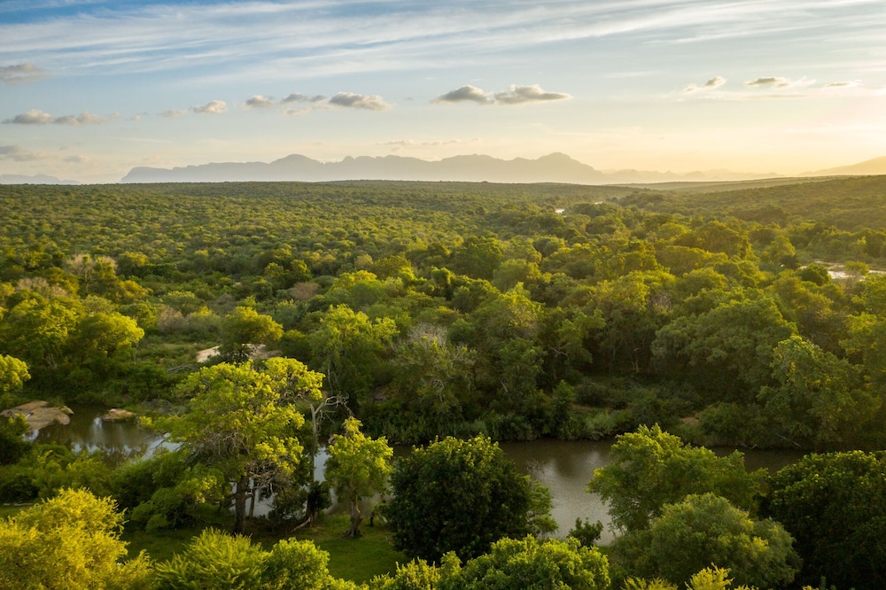 Rukiya Safari Camp 25/50