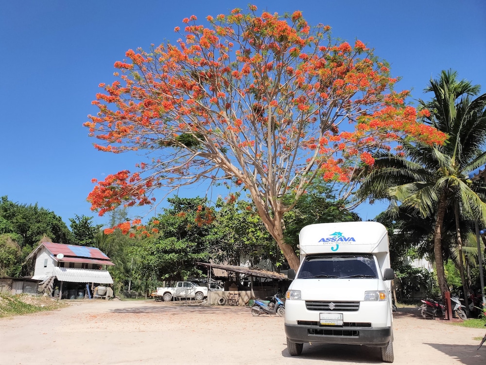 Assava Dive Resort 31/50