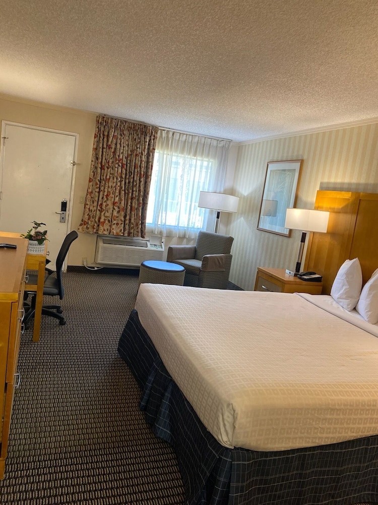 Travelodge By Wyndham Palm Springs 17/41