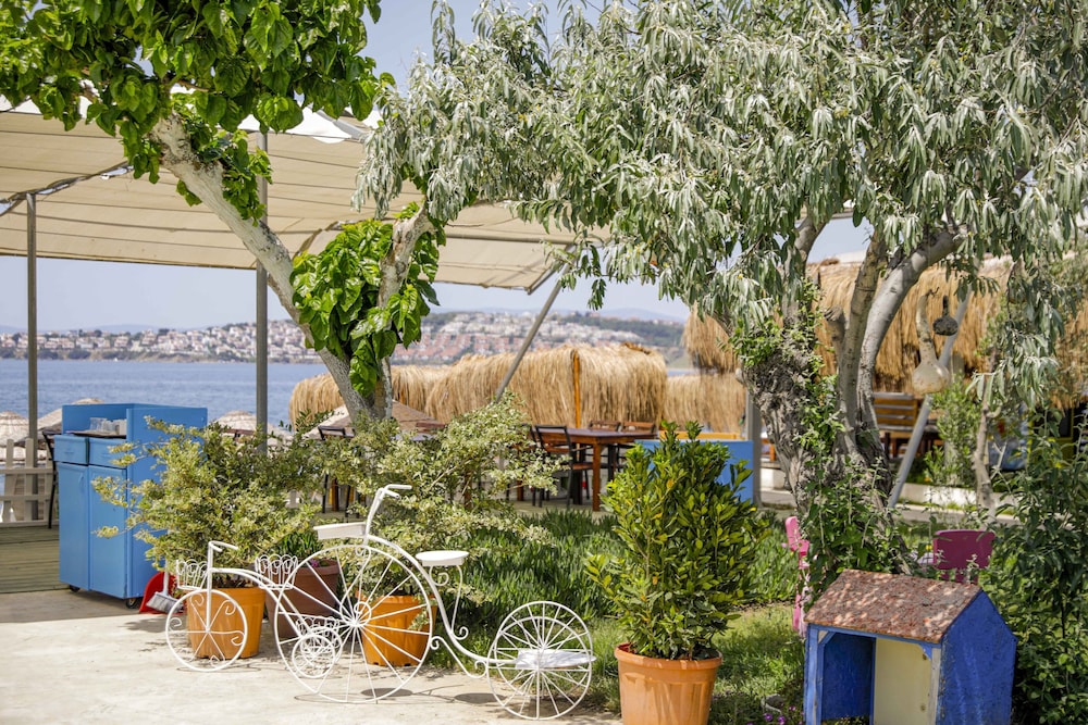 Teos Ormanci Tatil Koyu 13/26