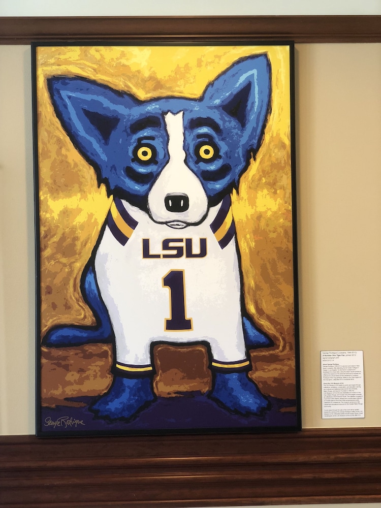 Cook Hotel And Conference Center At Lsu photo5