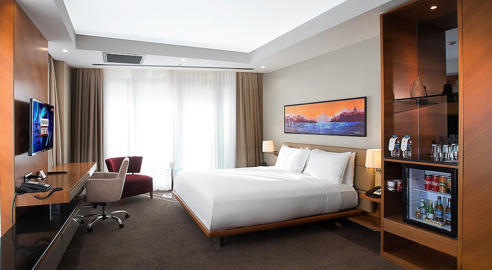 DoubleTree by Hilton Istanbul - Old Town 13/55