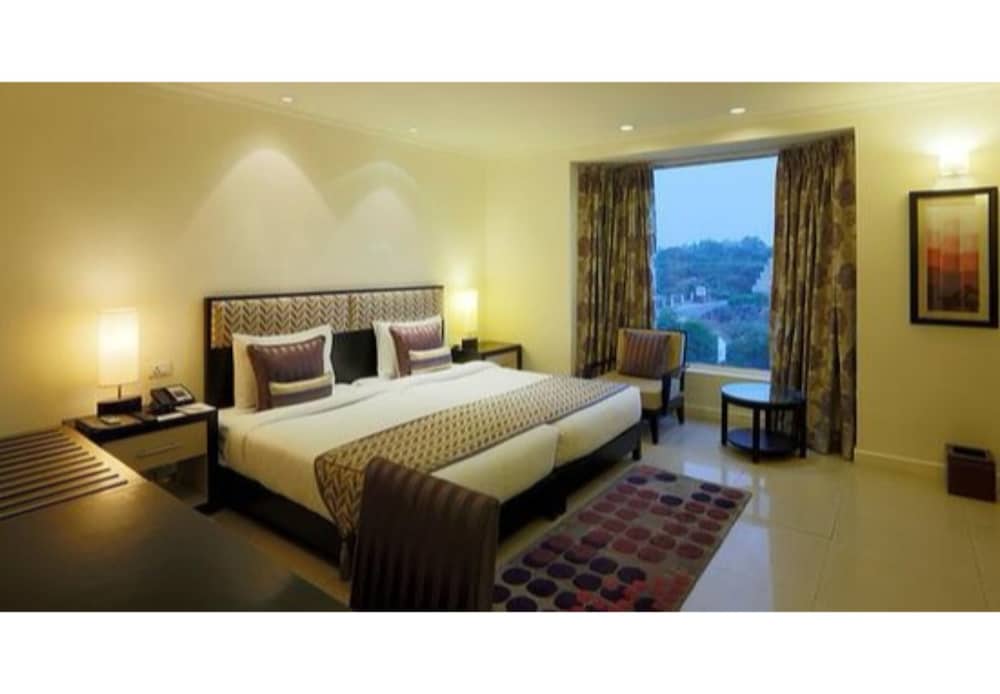 Sarovar Portico Surajkund Faridabad 16/38