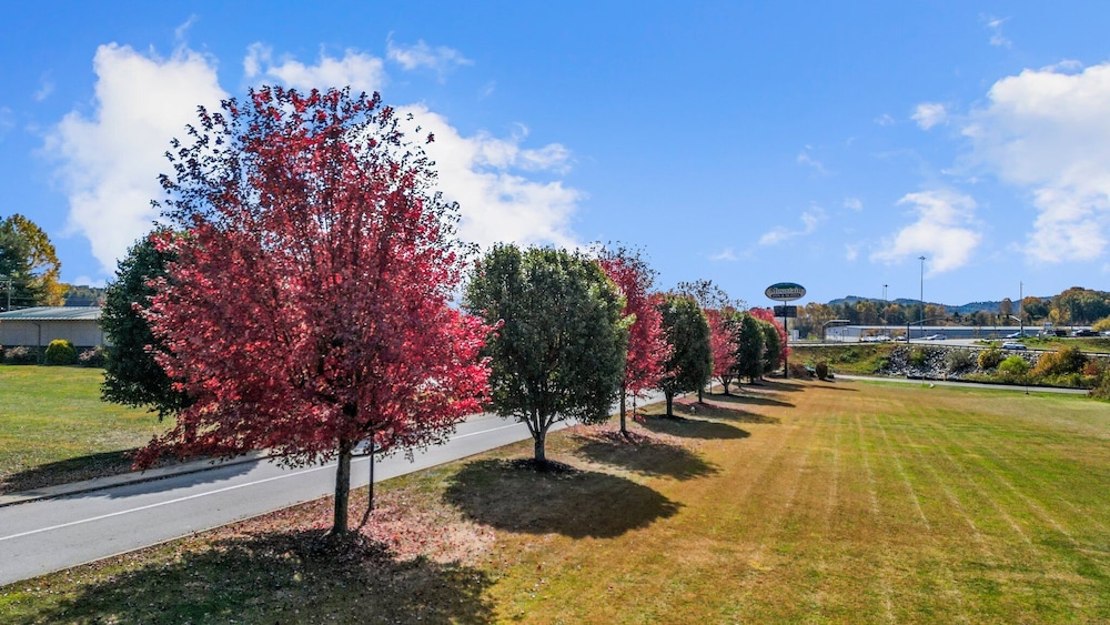 Mountain Inn & Suites Flat Rock 41/53