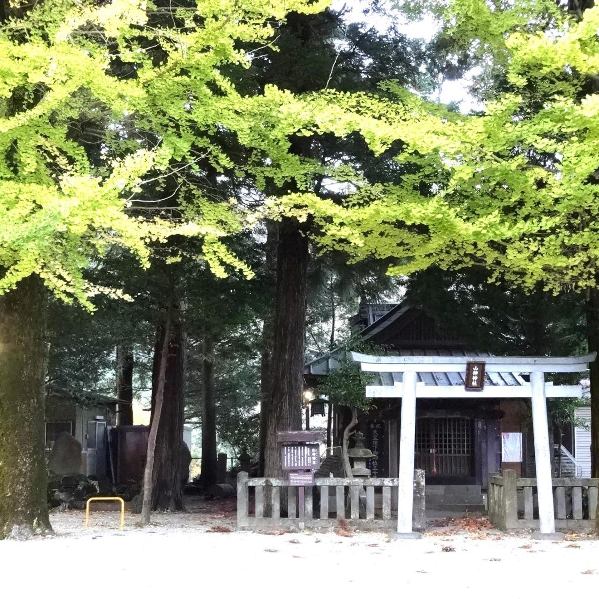 Hakone Ohiradai Onsen Sansuisou 48/48